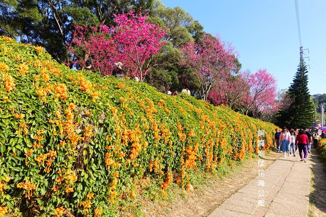 DSC03332_副本.jpg DSC03332_副本.jpg