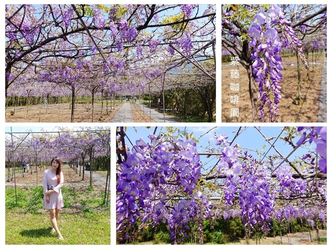 DSC00001_副本.jpg DSC00001_副本.jpg