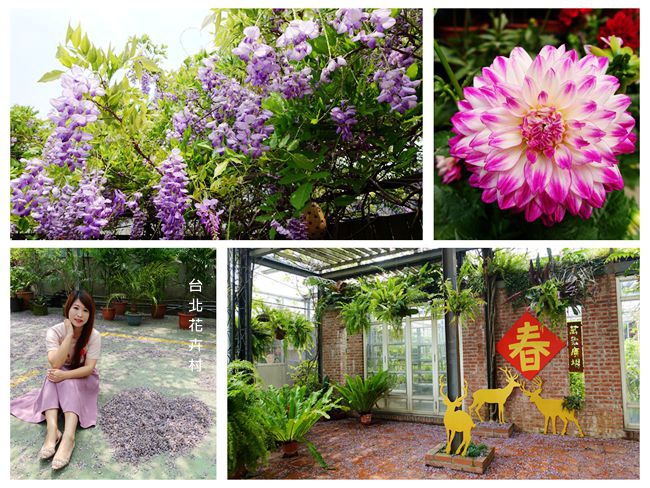 DSC00002_副本.jpg DSC00002_副本.jpg