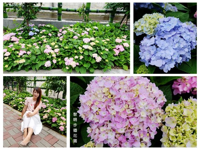 DSC01582_副本.jpg DSC01582_副本.jpg