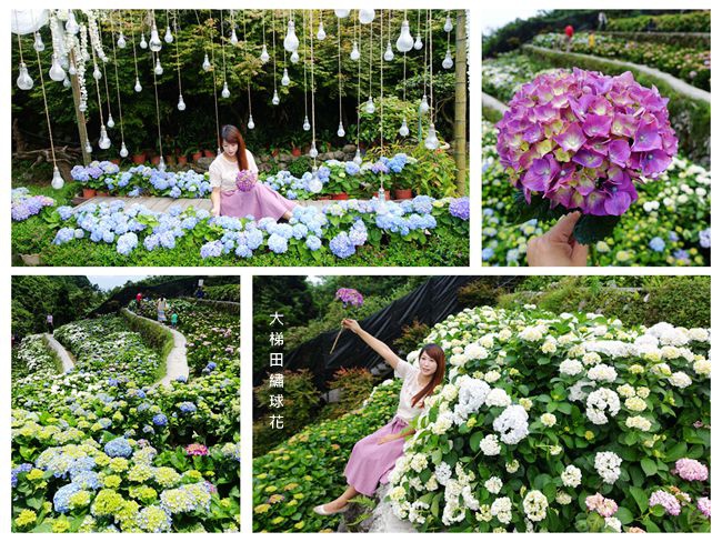 DSC00815_副本.jpg DSC00815_副本.jpg