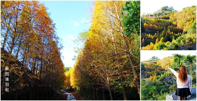 DSC01151_副本.jpg DSC01151_副本.jpg