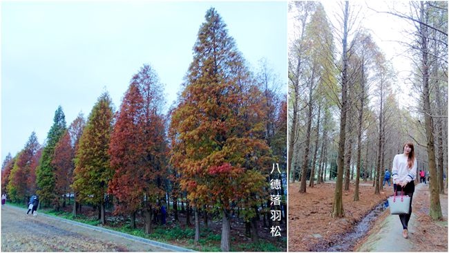 DSC01151_副本.jpg DSC01151_副本.jpg