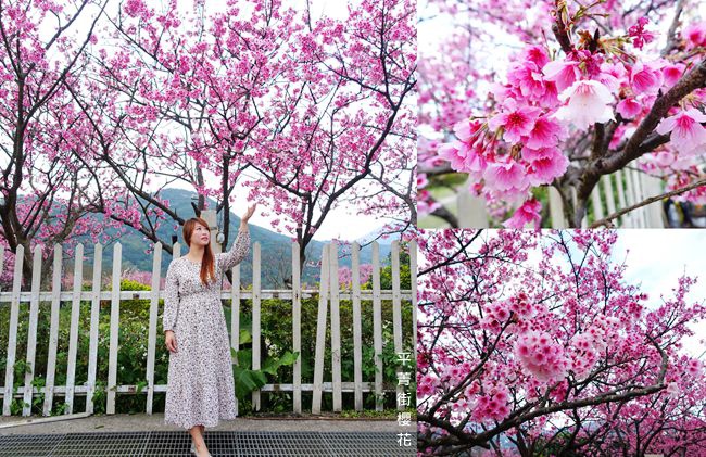 DSC01287_副本.jpg DSC01287_副本.jpg