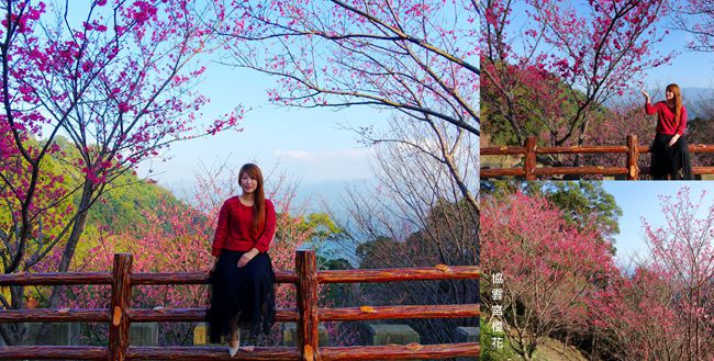 DSC00020_副本.jpg DSC00020_副本.jpg