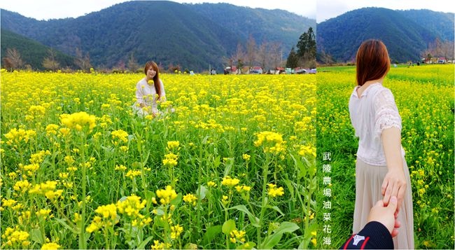 DSC00017_副本.jpg DSC00017_副本.jpg