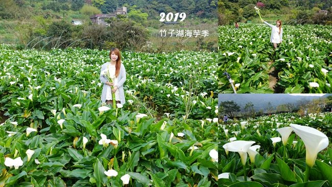 DSC00012_副本.jpg DSC00012_副本.jpg