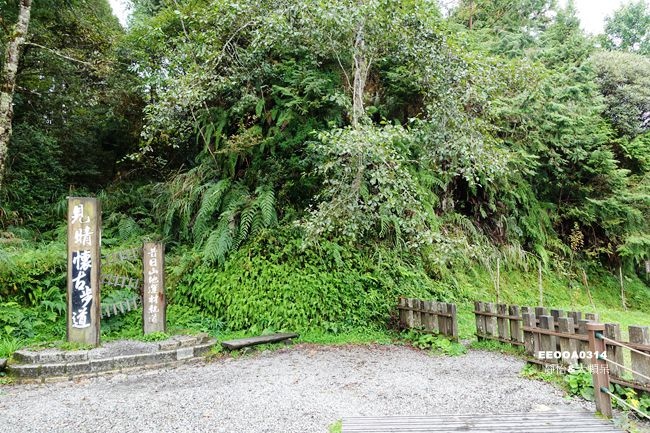 宜蘭太平山一日遊景點 見晴懷古步道 享受雲霧繚繞的森林美景全球最美小路之一太平山必去 太平山行程規劃 靜怡 大顆呆の親子 旅遊 美食 痞客邦