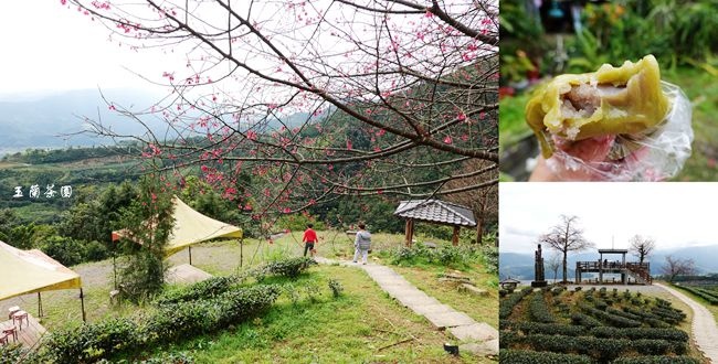 ,宜蘭,大同鄉,玉蘭茶園,蘭馨粿琴茶粿,賞櫻,茶燻滷味,百岳,小百岳,步道,瀑布,