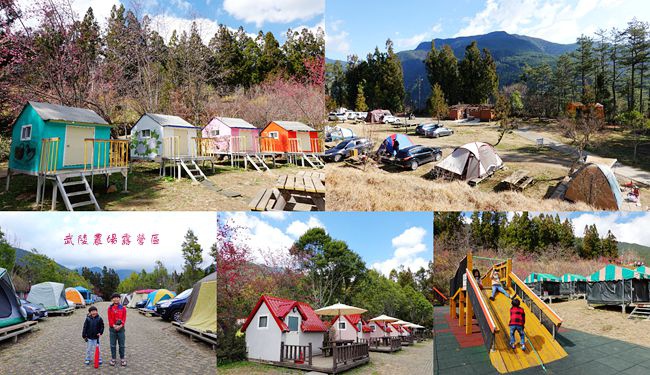 武陵農場,櫻花季,露營區,親子露營,景觀小木屋,兒童遊戲區,高山露營,台中,賞櫻,露營,小木屋,帳篷