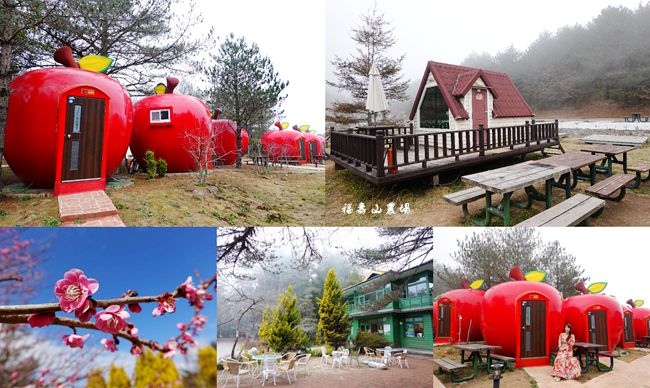 福壽山農場,武陵農場,櫻花季,梅花,露營,天池達觀亭,鴛鴦湖,台中,賞梅,賞櫻,蘋果