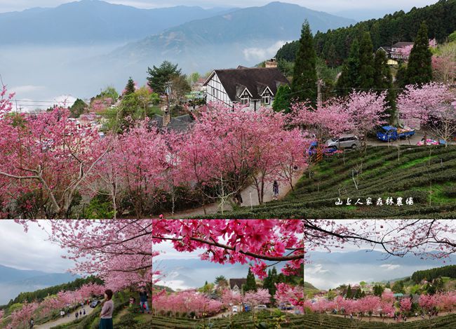 DSC01414_副本.jpg DSC01414_副本.jpg