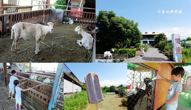 可達休閒羊場,宜蘭親子遊,動物餵食體驗,羊奶咖啡,棉花糖DIY,員山旅遊,親子一日遊,宜蘭,員山,親子景點,親子農場,宜蘭農場,休閒農