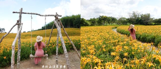 花蓮,玉里,汪家古厝,赤科山,金針山,花況,景點,花海,花蓮景點