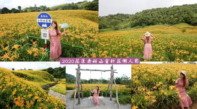 赤科山,金針花,汪家古厝,林家園休閒農場,赤科驛站,小瑞士農場,千噸石龜,花蓮,玉里,賞花,景點,懶人