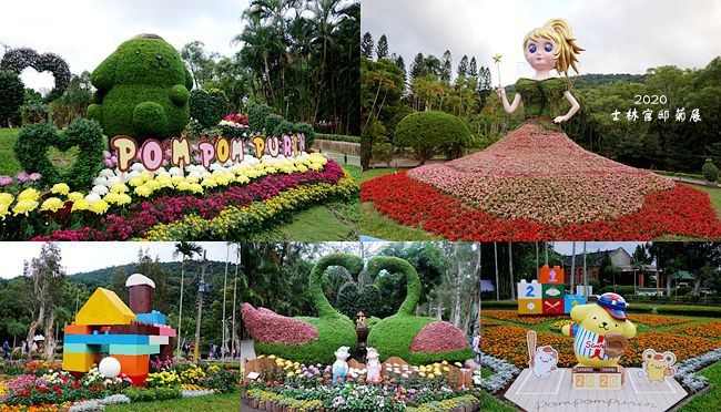 台北,士林,2020士林官邸菊展,賞花,花海,菊花,免費景點,拍照,打卡,秘境,台北景點