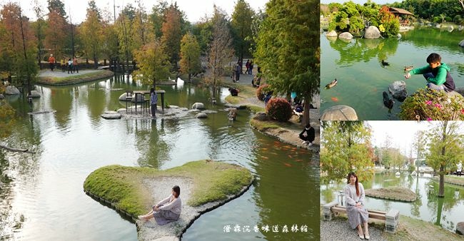 澄霖沉香味道森林館,心形造景水池,落羽松林,日式庭院,台版兼六園,觀景台,沉香商品展售,雲林,虎尾,落羽松,水池,造景,沙池,踏青,親子,拍照