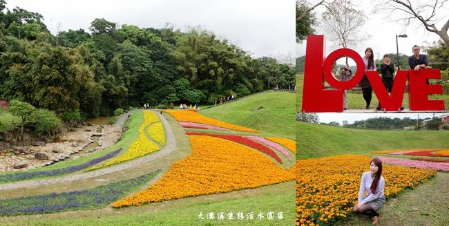 ,台北,內湖,大溝溪,大溝溪生態治水園區,圓覺瀑布,大湖山莊,賞花,秘境,花海,小百岳,步道,吊橋,野餐,草原,