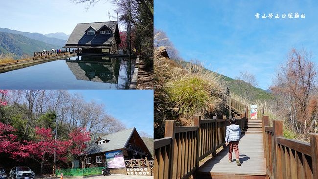 武陵農場,櫻花季,雪山登山口服務站,梨山,福壽山農場,桃山瀑布,櫻花鉤吻鮭生態中心,台中,和平,櫻花,賞櫻,花季,賞花,雪山,雪山登山口,拍照,打卡,百岳,小百岳,步道,瀑布