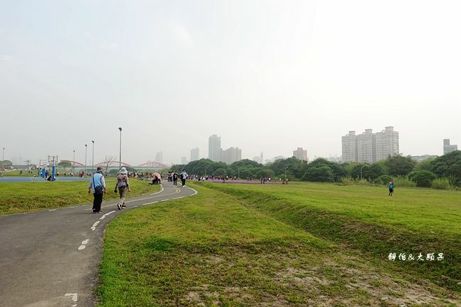 台北古亭河濱公園 13萬盆紫色花草迎春天 夢幻紫色系漸層花海 輕旅行