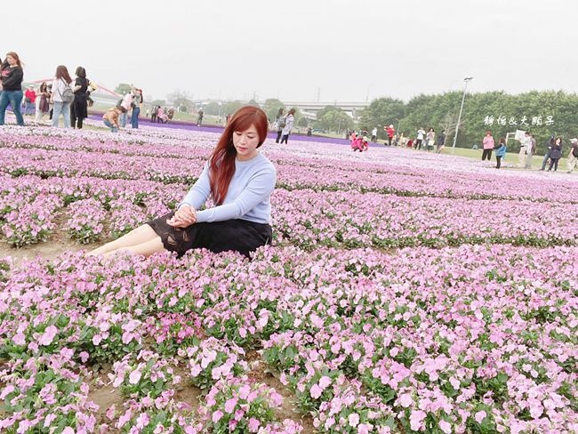 台北古亭河濱公園 13萬盆紫色花草迎春天 夢幻紫色系漸層花海 輕旅行 台北古亭河濱公園 13萬盆紫色花草迎春天 夢幻紫色系漸層花海 輕旅行