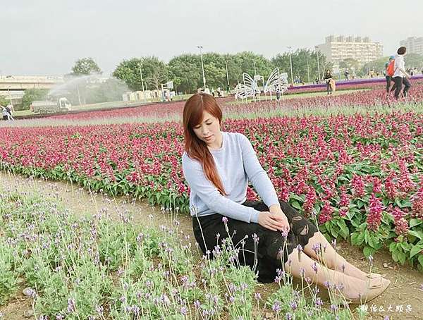 台北免費賞花景點 古亭河濱公園花海 13萬盆紫色草花迎春天夢幻紫色系漸層花海古亭花海地點 交通 靜怡 大顆呆の親子 旅遊 美食 痞客邦
