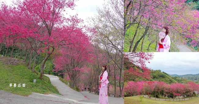 翠墨莊園,櫻花季,浴衣體驗,桃園復興,蝙蝠洞,基國派教堂,熱氣球造景,桃園,復興,賞花,賞櫻,櫻花,浴衣,打卡