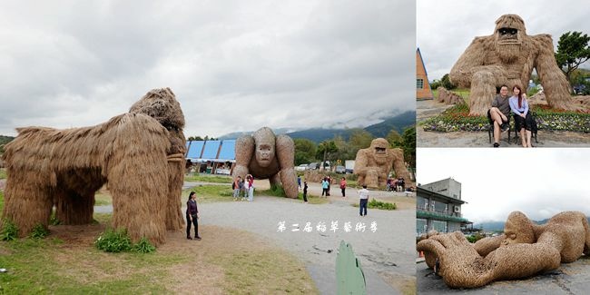 富里稻草藝術季,花蓮富里,富里鄉農會,羅山展售中心,波斯菊花海,大猩猩稻草雕塑,羅山有機村,花蓮,富里,稻草藝術季,裝置藝術,IG,打卡,拍照,動物迷蹤,台九線