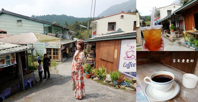 奮起湖,百年老老街,下腳店仔,阿里山日曬咖啡,大姑媽咖啡,手工野生愛玉,紫藤花,嘉義,竹崎,奮起湖老街