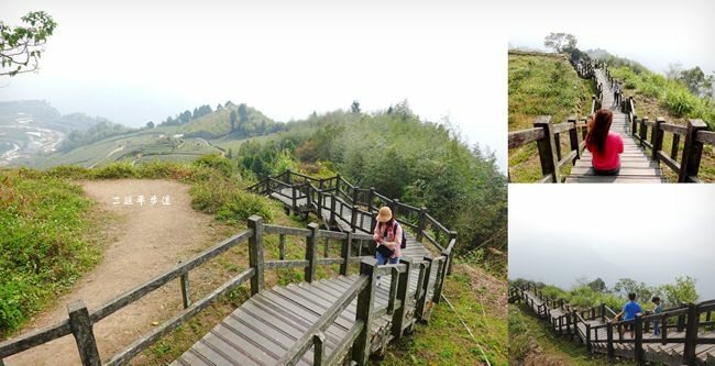 阿里山,二延平步道,隙頂美景,茶園風光,雲海,雲瀑,櫻花季,嘉義,步道,踏青,健行,大自然,夕陽