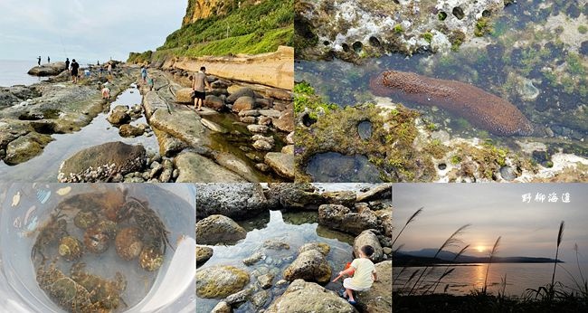 ,新北,萬里,野柳海岸潮間帶,北海岸,野柳,潮間帶,