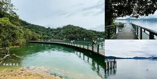 日月潭,水蛙頭步道,九蛙疊像,大竹湖,伊達邵碼頭,日月潭纜車,自然生態,南投,魚池