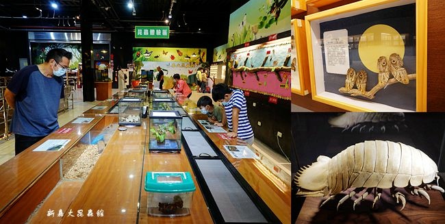 新嘉大昆蟲館,昆蟲模型,旋轉彩蝶柱,蝴蝶溫室花園,昆蟲標本,親子旅遊,嘉義大學,嘉義,親子,室內景點,博物