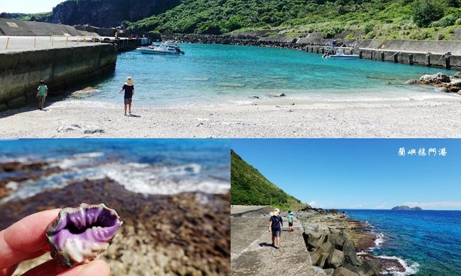 蘭嶼,龍門港,跳港,浮潛,SUP,珊瑚礁,海洋生態,海洋