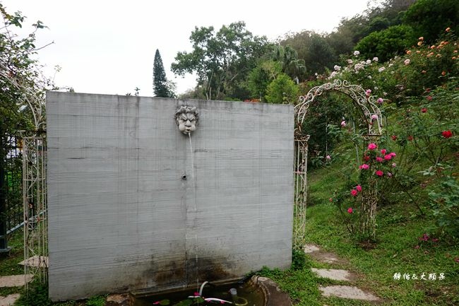 雅聞七里香玫瑰森林,玫瑰花園,觀光工廠,玫瑰冰淇淋,氣墊溜滑梯,明德水庫,苗栗旅遊景點,苗栗,頭屋鄉,打卡,花園