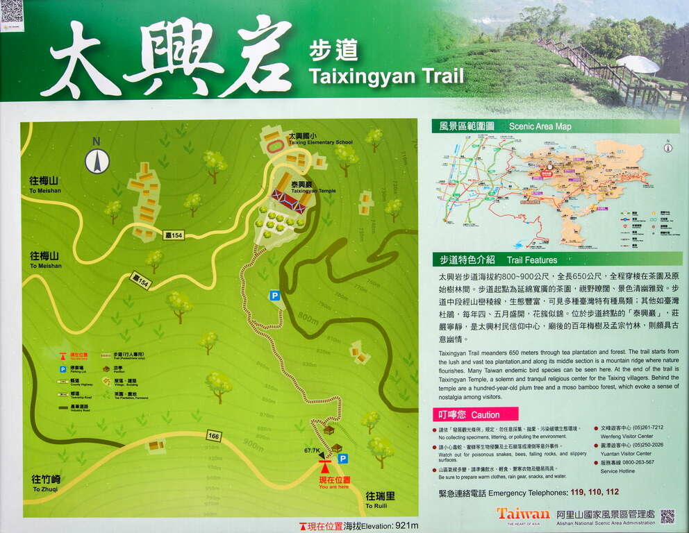 太興岩步道,茶園步道,嘉義梅山,觀景台,木棧道,石階步道,台灣杜鵑,嘉義,梅山鄉,郊山步道,步道