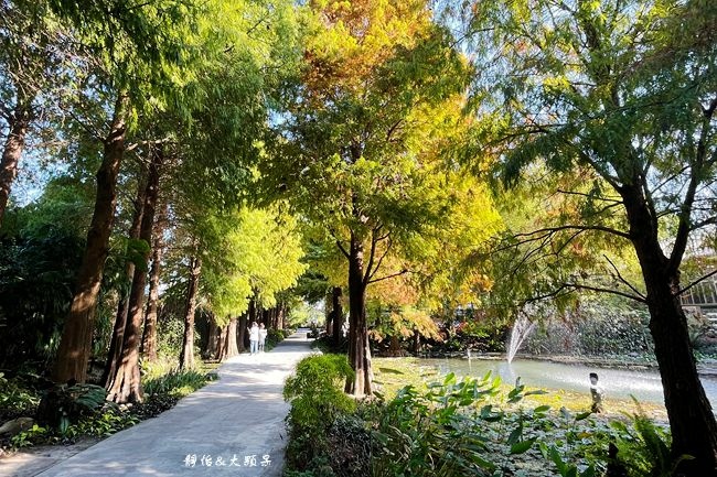 菁芳園,Tenway Garden,落羽松,田尾旅遊,露營區,玻璃屋餐廳,田尾公路花園,彰化,田尾鄉,景觀餐廳,落羽
