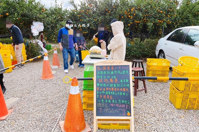 橙香森林,採橘子,橙香隧道,玻璃屋咖啡廳,大草皮,苗栗景點,明德水庫,苗栗,頭屋鄉,休閒農場