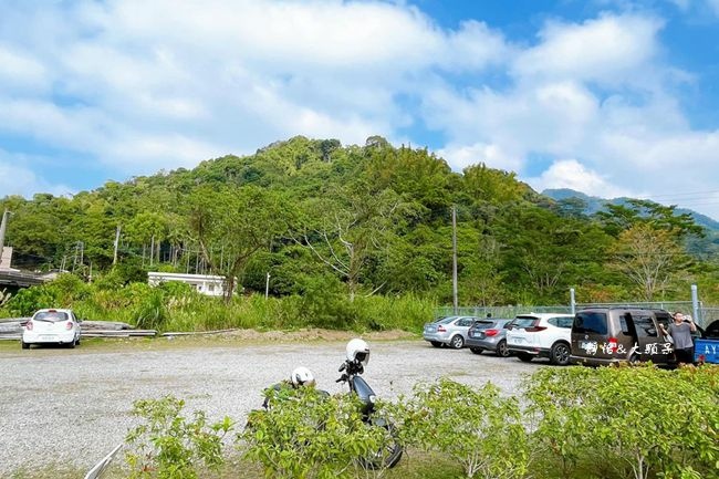 太平苗圃落羽松,台中,落羽松秘境,季節限定,道場,酒桶山,蝙蝠洞,太平區,落羽松