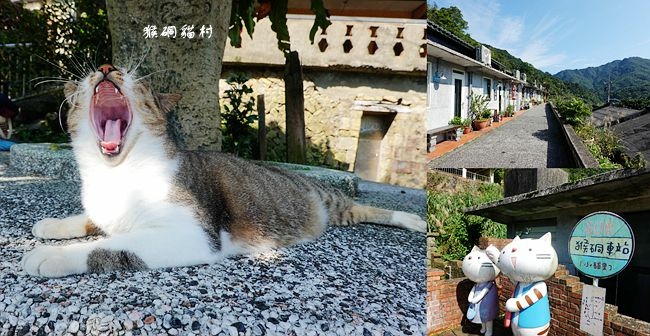 猴硐貓村,全球六大賞貓景點,貓橋,貓咪特色咖啡店,猴硐車站,阿蝦古早味麵店,貓公所籌備處,新北,猴硐貓