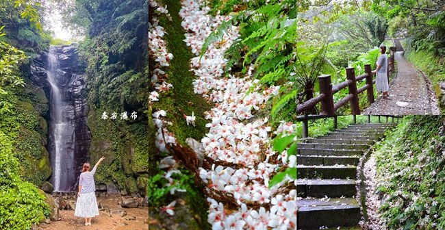 泰安瀑布,油桐花步道,基隆步道,草濫山區,七堵秘境,姜子寮山,賞花區,基隆,七堵區,瀑布,步道,郊山步道,賞花