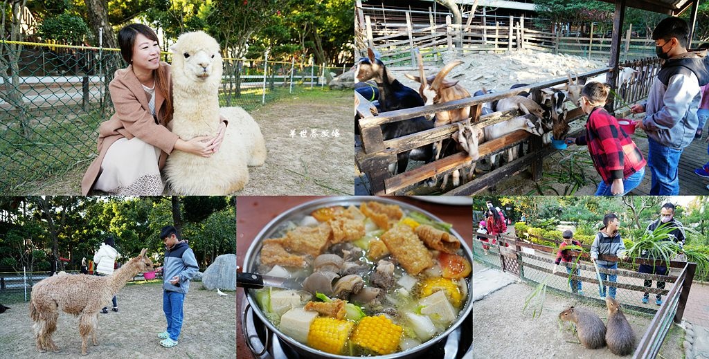 羊世界牧場,勇伯台灣羊餐廳,親子活動,餵食動物,羊肉爐,動物互動,桃園中壢,桃園,牧場,親子景