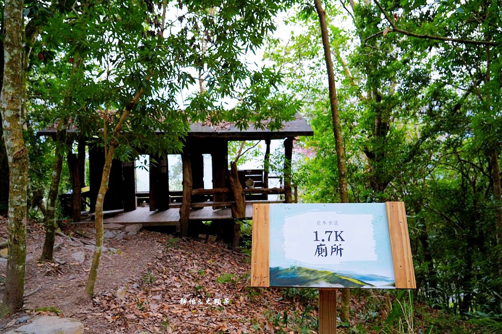 司馬庫斯櫻花季 ❙ 一生一定要去一次粉紅櫻花海隧道，櫻花季管