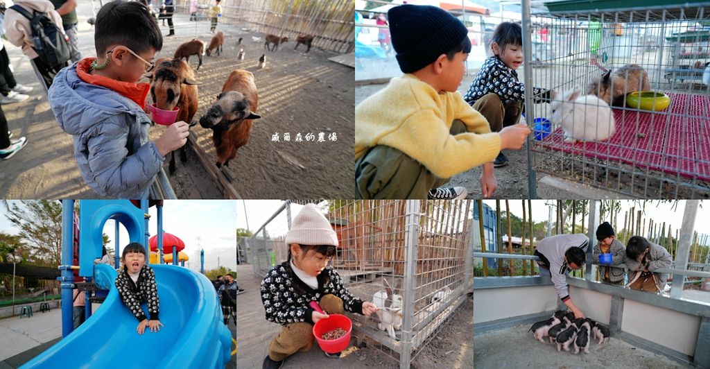 DSC05827_副本.jpg DSC05827_副本.jpg
