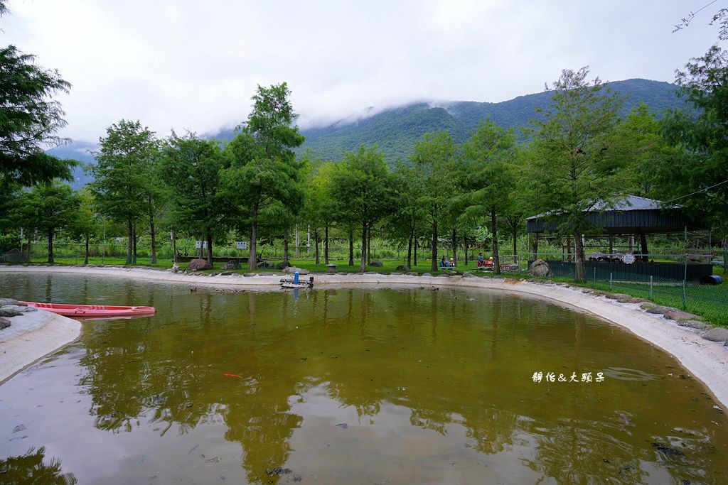 洄瀾灣休閒農場 ❙ 水豚君、狐獴、笑笑羊，還有小火車，花蓮洄