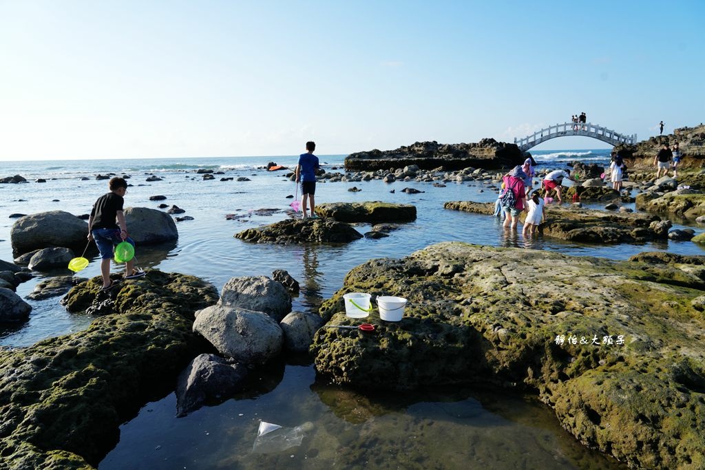 石門洞 ❙ 探索潮間帶生態，玩沙戲水、抓螃蟹，北海岸親子玩水