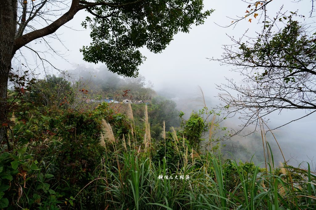 相思園景觀露營區 ❙ 免搭帳、免裝備透明星空帳，戲水池、沙池