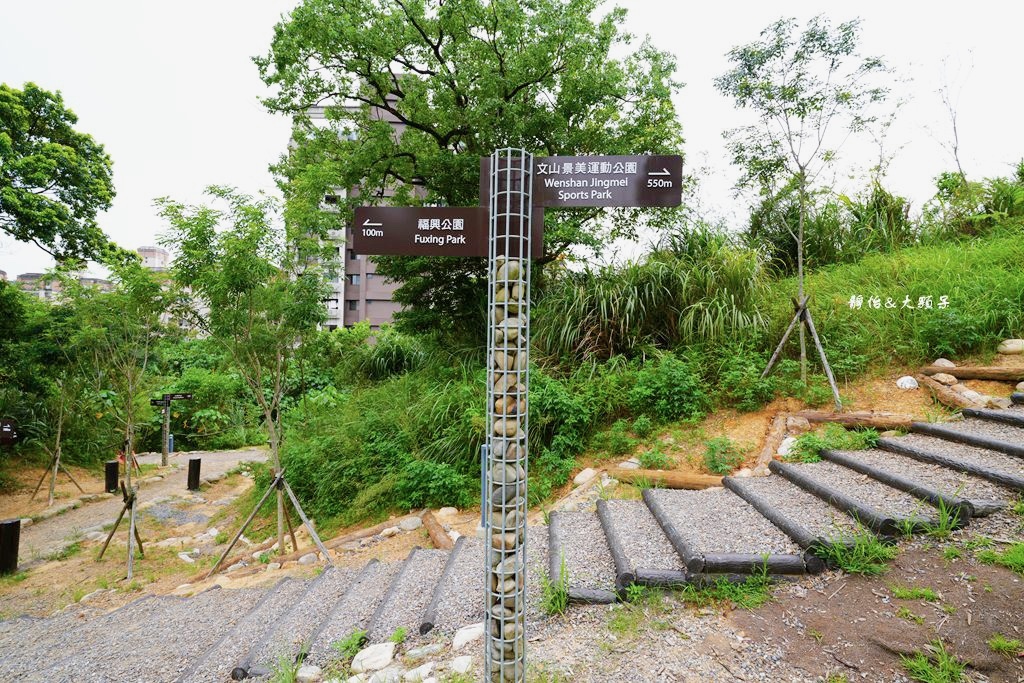 文山森林公園趣探險之丘 ❙ 森林系兒童遊戲場、樹梢步道，台北