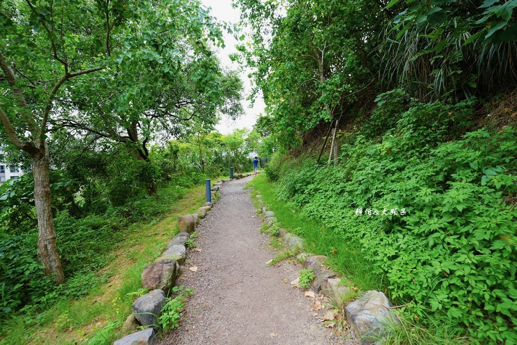 文山森林公園趣探險之丘 ❙ 森林系兒童遊戲場、樹梢步道，台北