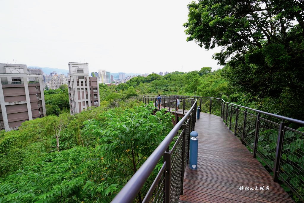文山森林公園趣探險之丘 ❙ 森林系兒童遊戲場、樹梢步道，台北